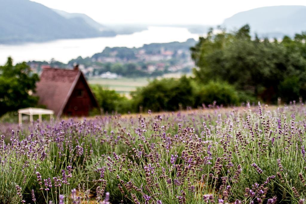 Natura Hill Panzió&Slow Food Fine Bistro Hotel Zebegény Exterior foto